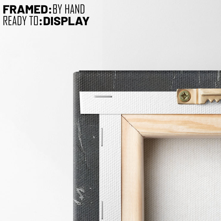 Urban Loyalty: Beauty In The Beast